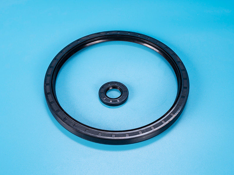 Large and small oil seals+sealing rings